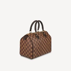 Louis Vuitton Speedy 25 Damier